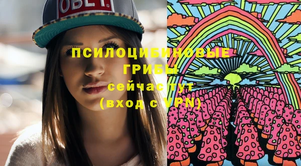 ешки Краснослободск