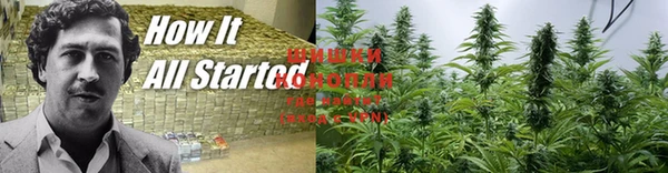 ешки Краснослободск